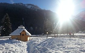 Hotel Stella Alpina